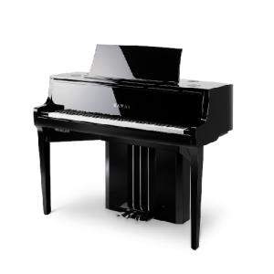 kawai-nv10s