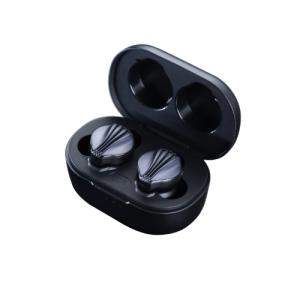 fiio fw5 truly wireless earphones with black case