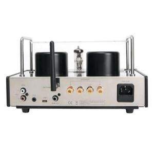 v40-backline