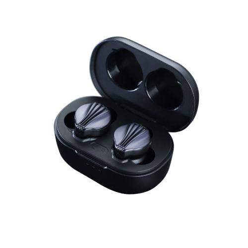 fiio fw5 truly wireless earphones with black case